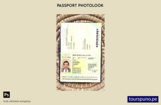 Plantilla de pasaporte de Guinea () lista para imprimir